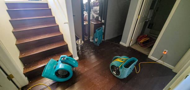 Best Fire Damage Restoration  in Rainier, OR
