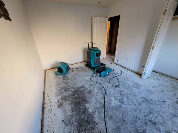 Water damage restoration insurance claims in Rainier, OR