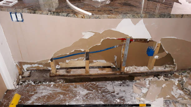 Best Professional water damage repair  in Rainier, OR