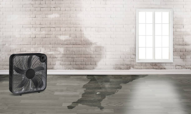 Best Residential water damage restoration  in Rainier, OR