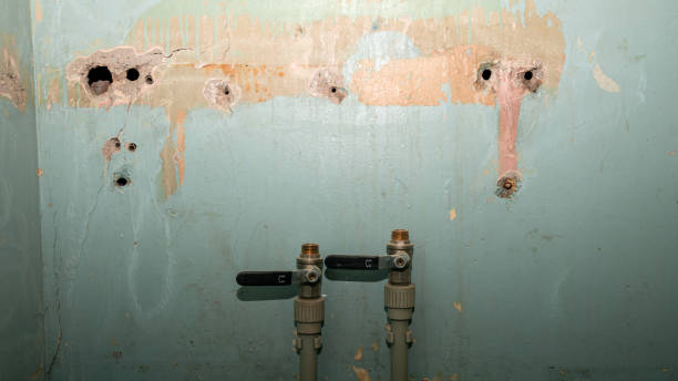 Best Water damage restoration experts  in Rainier, OR