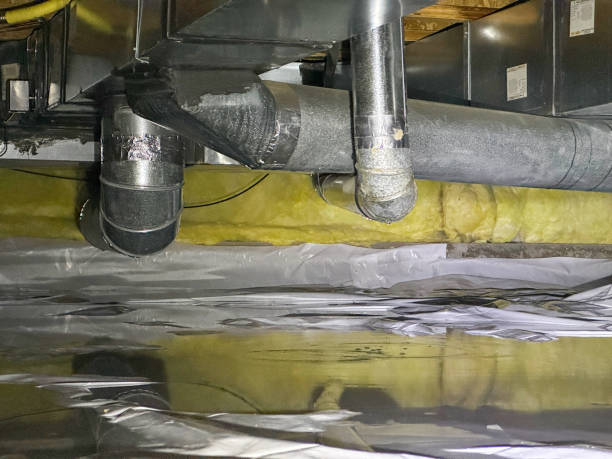 Best Basement water damage restoration  in Rainier, OR