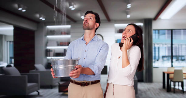 Best Mold removal after water damage  in Rainier, OR